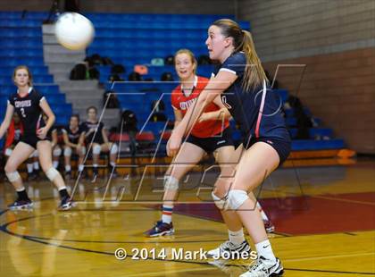 Thumbnail 1 in Basha @ Centennial photogallery.