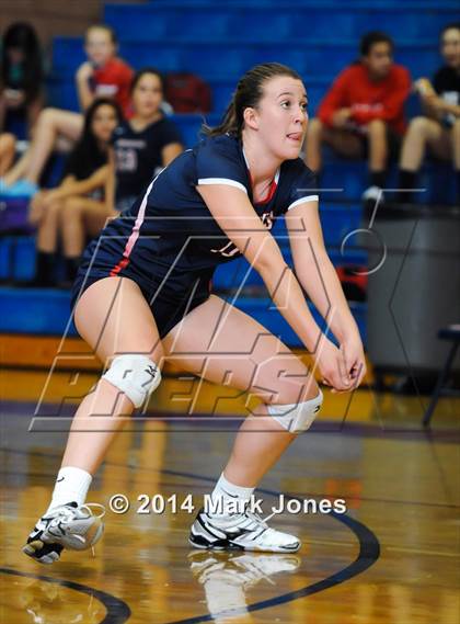 Thumbnail 3 in Basha @ Centennial photogallery.
