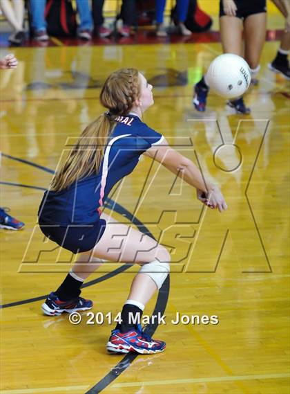 Thumbnail 3 in Basha @ Centennial photogallery.