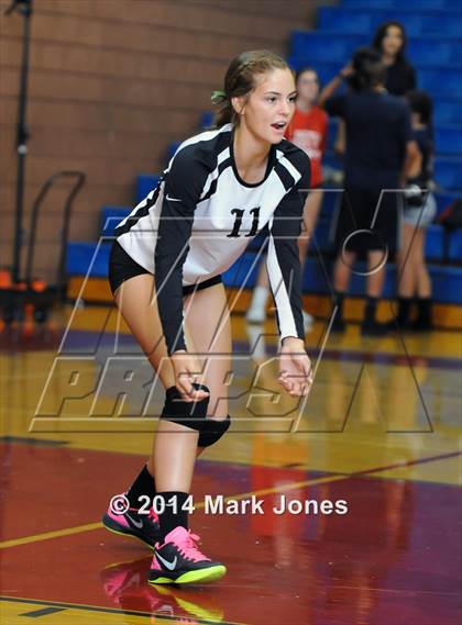 Thumbnail 2 in Basha @ Centennial photogallery.