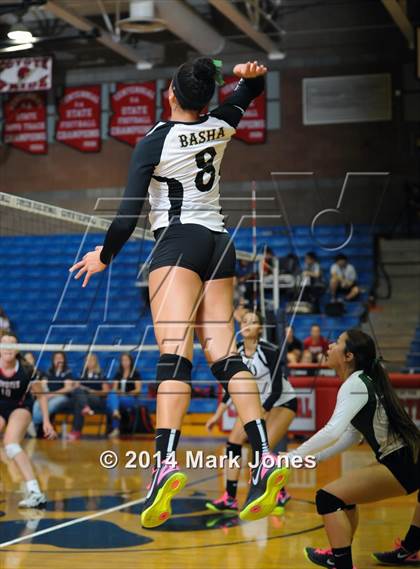 Thumbnail 2 in Basha @ Centennial photogallery.