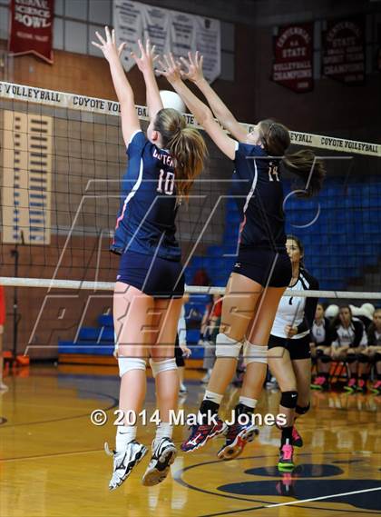 Thumbnail 2 in Basha @ Centennial photogallery.