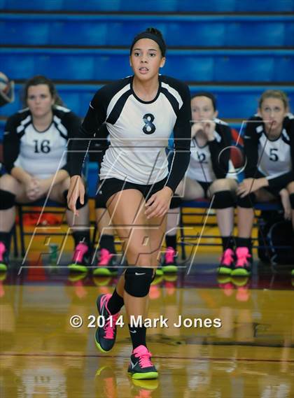 Thumbnail 3 in Basha @ Centennial photogallery.