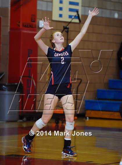 Thumbnail 1 in Basha @ Centennial photogallery.