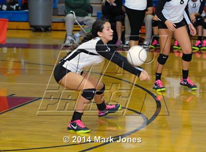 Thumbnail 2 in Basha @ Centennial photogallery.