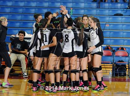 Thumbnail 3 in Basha @ Centennial photogallery.