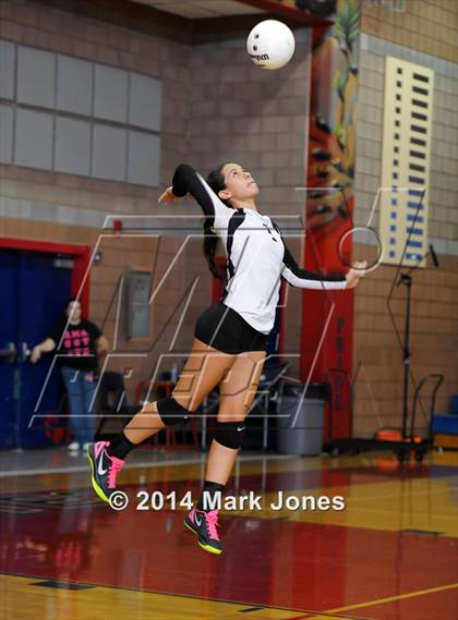 Thumbnail 1 in Basha @ Centennial photogallery.