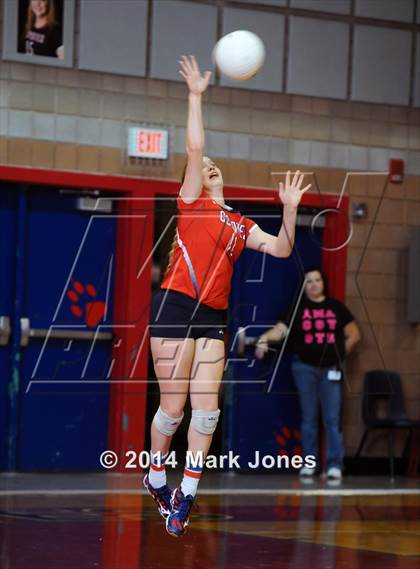 Thumbnail 3 in Basha @ Centennial photogallery.