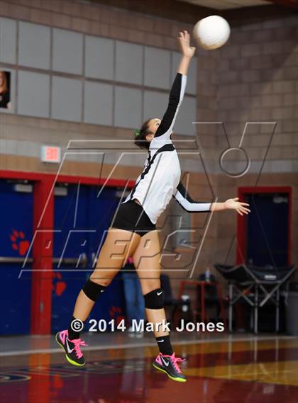 Thumbnail 2 in Basha @ Centennial photogallery.