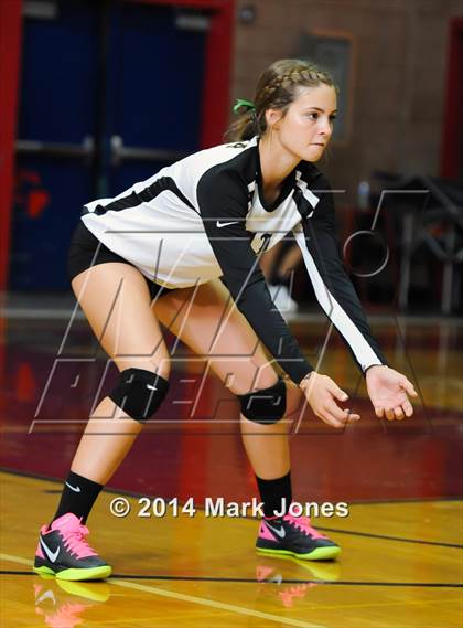 Thumbnail 1 in Basha @ Centennial photogallery.