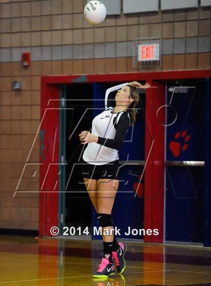 Thumbnail 3 in Basha @ Centennial photogallery.