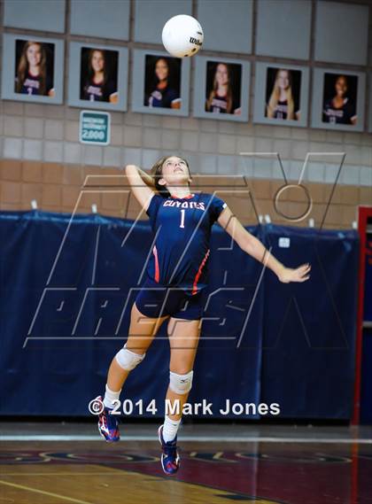 Thumbnail 2 in Basha @ Centennial photogallery.