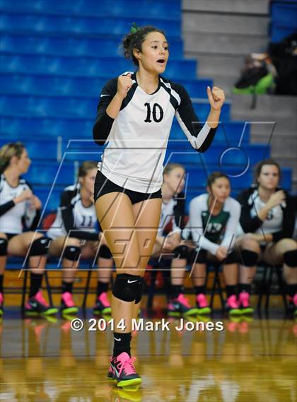 Thumbnail 1 in Basha @ Centennial photogallery.