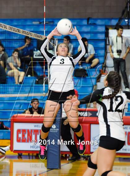 Thumbnail 2 in Basha @ Centennial photogallery.