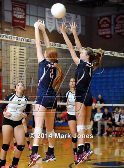 Thumbnail 3 in Basha @ Centennial photogallery.