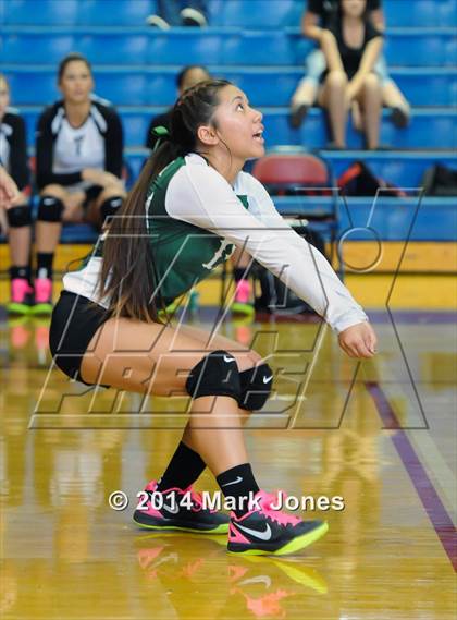 Thumbnail 3 in Basha @ Centennial photogallery.