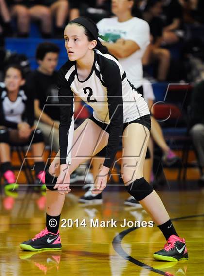 Thumbnail 1 in Basha @ Centennial photogallery.