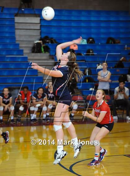 Thumbnail 1 in Basha @ Centennial photogallery.