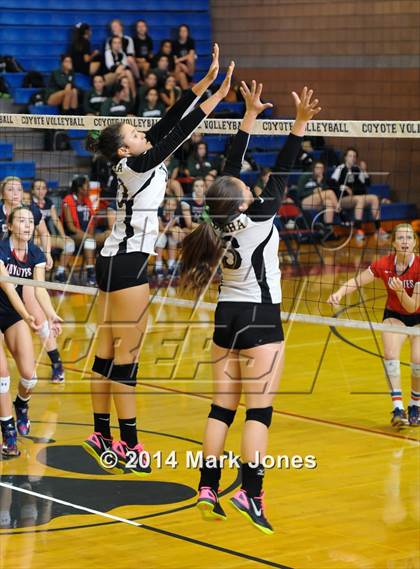 Thumbnail 2 in Basha @ Centennial photogallery.