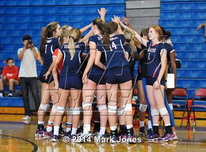 Thumbnail 1 in Basha @ Centennial photogallery.