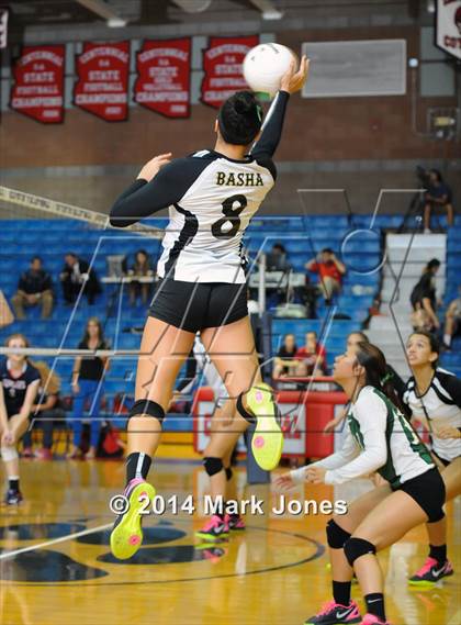Thumbnail 1 in Basha @ Centennial photogallery.