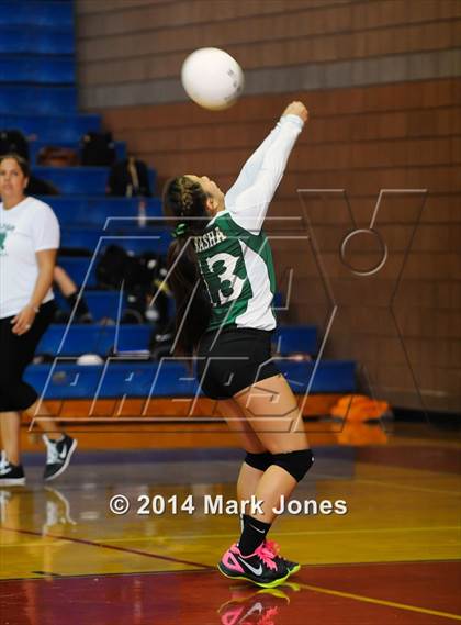 Thumbnail 1 in Basha @ Centennial photogallery.