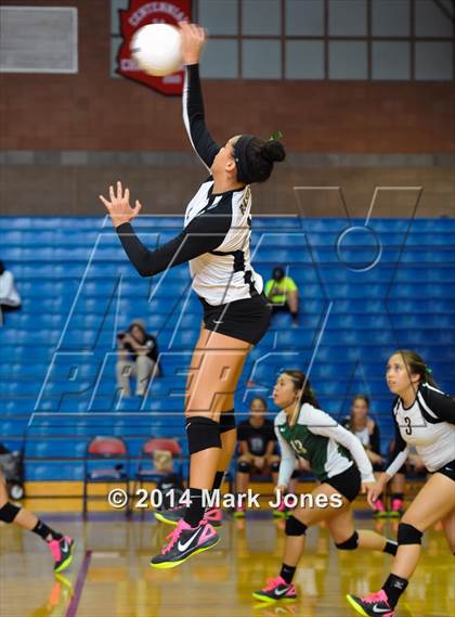 Thumbnail 1 in Basha @ Centennial photogallery.