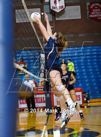 Thumbnail 1 in Basha @ Centennial photogallery.