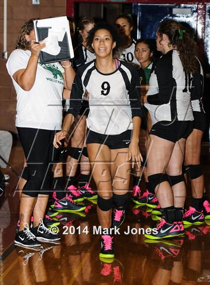 Thumbnail 3 in Basha @ Centennial photogallery.