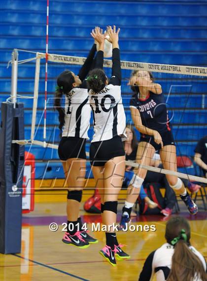 Thumbnail 1 in Basha @ Centennial photogallery.