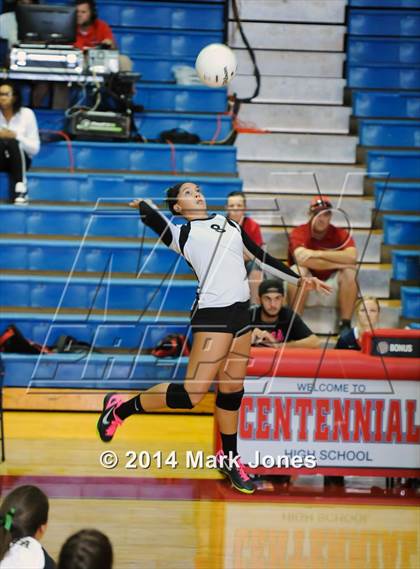 Thumbnail 1 in Basha @ Centennial photogallery.