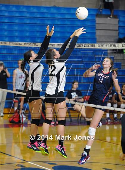 Thumbnail 2 in Basha @ Centennial photogallery.