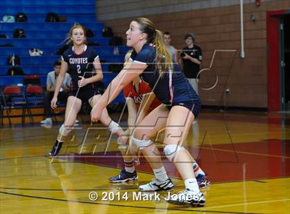 Thumbnail 1 in Basha @ Centennial photogallery.