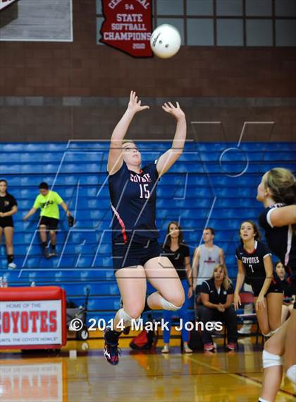 Thumbnail 3 in Basha @ Centennial photogallery.
