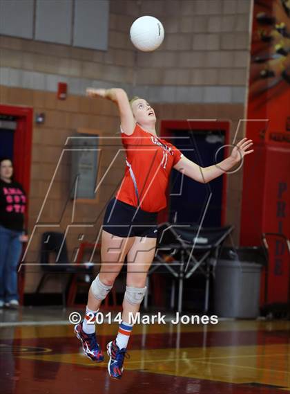 Thumbnail 1 in Basha @ Centennial photogallery.
