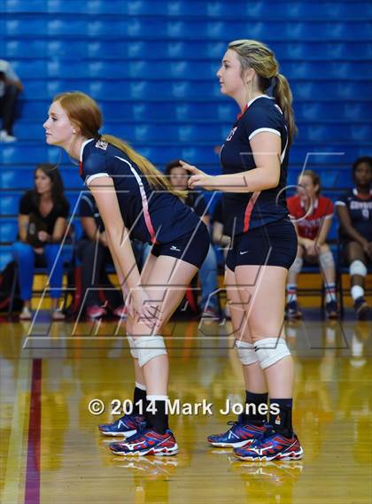 Thumbnail 3 in Basha @ Centennial photogallery.