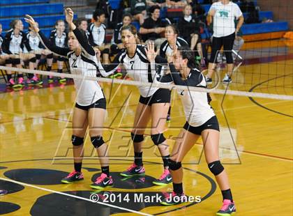Thumbnail 2 in Basha @ Centennial photogallery.