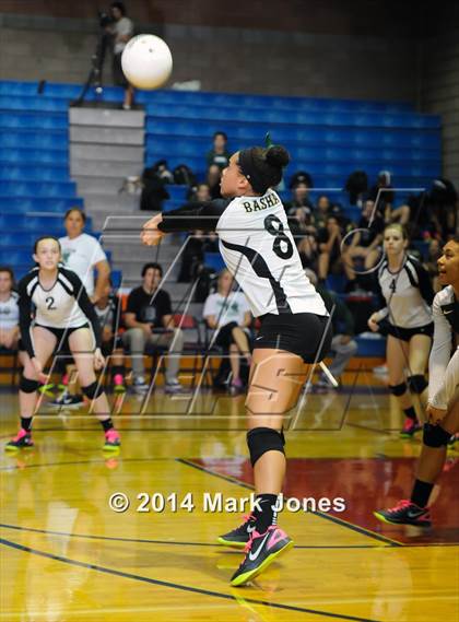 Thumbnail 1 in Basha @ Centennial photogallery.