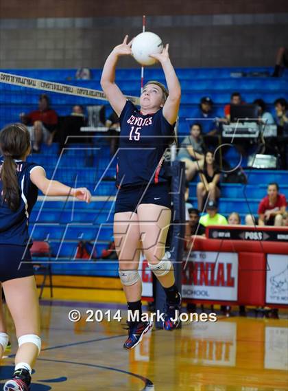 Thumbnail 2 in Basha @ Centennial photogallery.