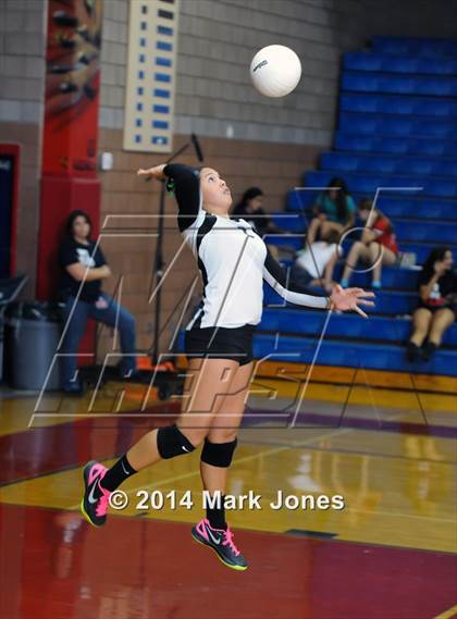 Thumbnail 1 in Basha @ Centennial photogallery.