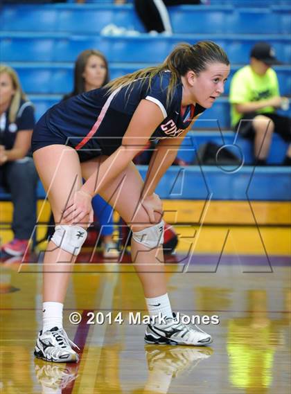 Thumbnail 1 in Basha @ Centennial photogallery.