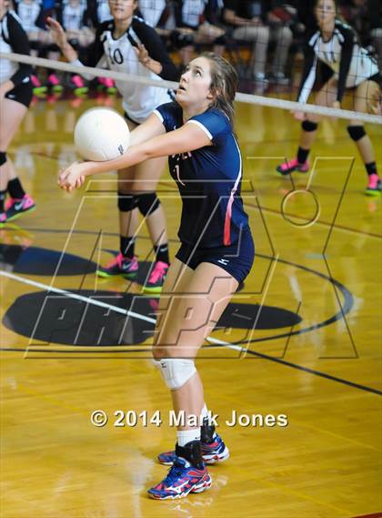 Thumbnail 1 in Basha @ Centennial photogallery.
