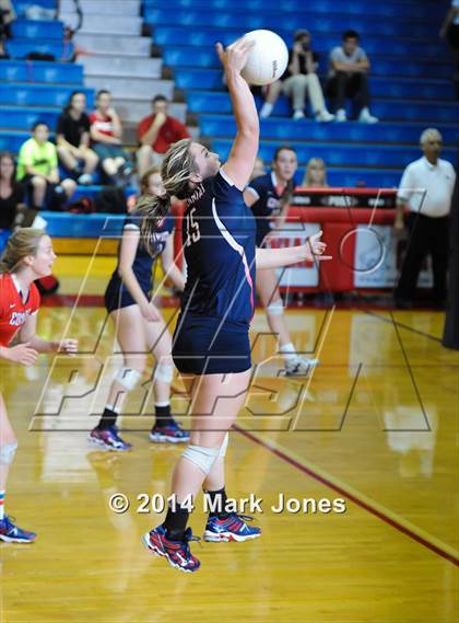 Thumbnail 2 in Basha @ Centennial photogallery.