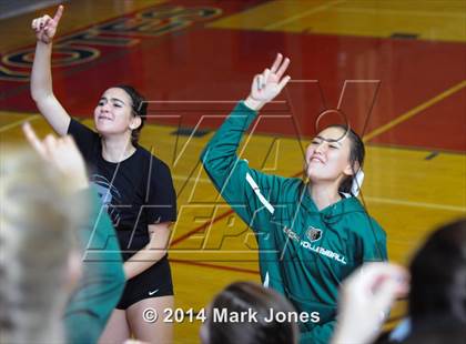 Thumbnail 3 in Basha @ Centennial photogallery.