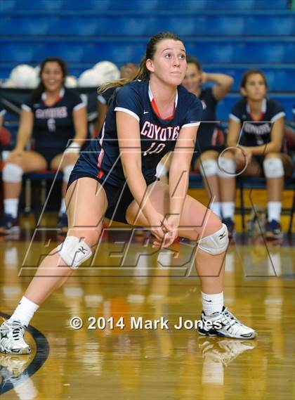 Thumbnail 3 in Basha @ Centennial photogallery.