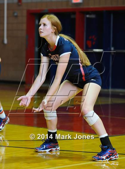 Thumbnail 2 in Basha @ Centennial photogallery.