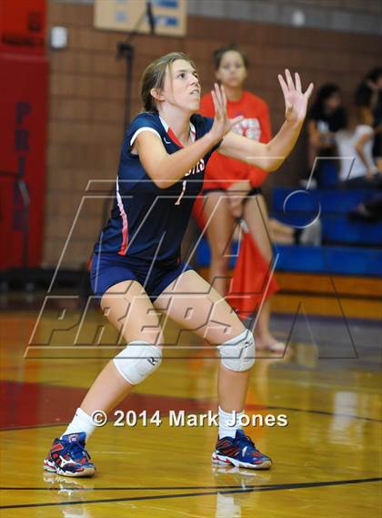 Thumbnail 2 in Basha @ Centennial photogallery.