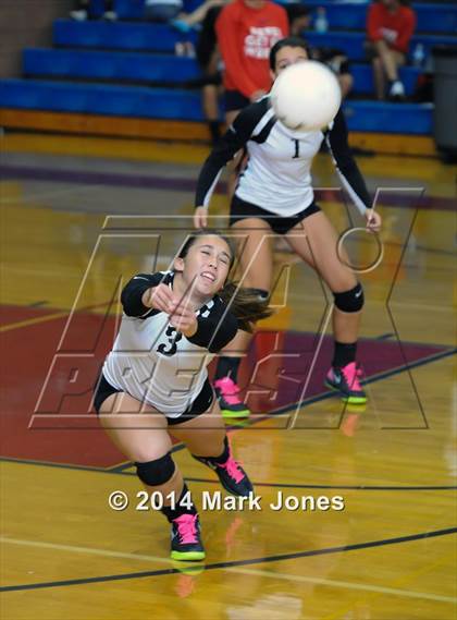 Thumbnail 2 in Basha @ Centennial photogallery.