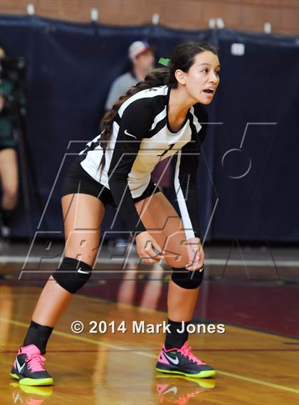 Thumbnail 3 in Basha @ Centennial photogallery.