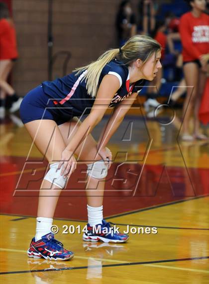 Thumbnail 2 in Basha @ Centennial photogallery.